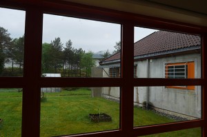file (11)